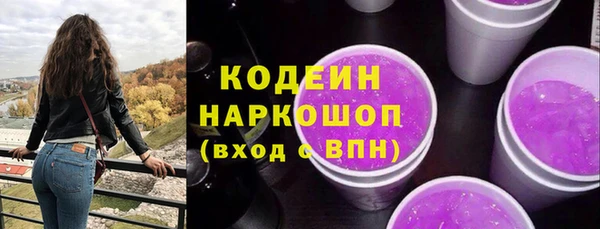 мдпв Киренск